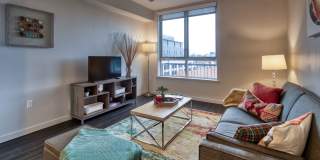 Eviva Midtown Gallery 21