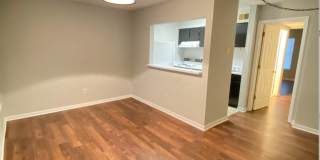 Available This Fall! Gallery 5