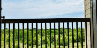Large 3 Bedroom Apartment, Great Location! Gallery 20
