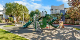 5509 W 149th Pl unit: 13 Gallery 25