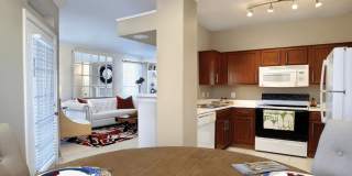 The Biltmore Gallery 21