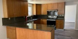 -Spacious 4 Bed 2.5 Bath, House, with Hew Hardwood Floors throughout - Gallery 3