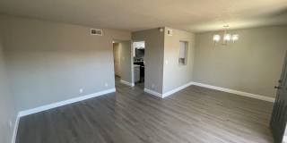 Cabana Courtyard Gallery 9