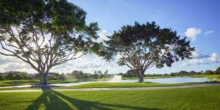 10264 Osprey Trace Gallery 79