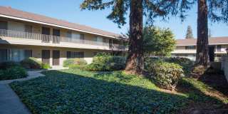 Ventura Beach Luxury Apartments Gallery 4