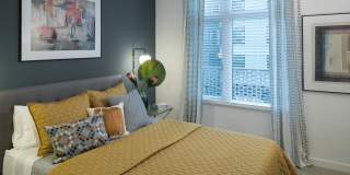 Alexan Webster Gallery 6