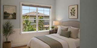 132 Island Coral Gallery 6