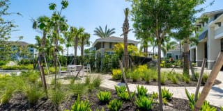 The Palms at Cape Coral Gallery 16