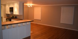 Call or Text Chad @ 501 231-7612  for more information. Gallery 7