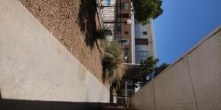 Somerset Park Gallery 11