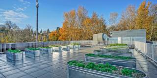 STAZIONE25 Gallery 13