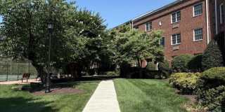 1630 W ABINGDON DR #301 1630 W ABINGDON DR #301 Gallery 1