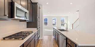 42580 PITLOCHRY Terrace Gallery 12