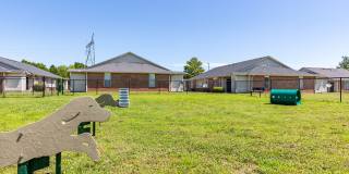 51 at Southaven Gallery 36