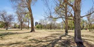 City Park Terrace Gallery 41