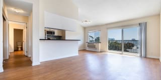 Marina 41 Gallery 11