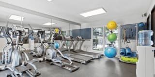 Icon on the Greenway Gallery 7