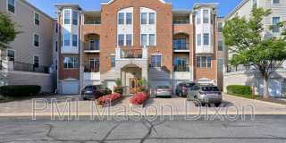 5920 Great Star Drive Gallery 3