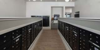 Cielo View Gallery 18