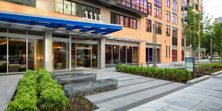 Insignia On M Gallery 24