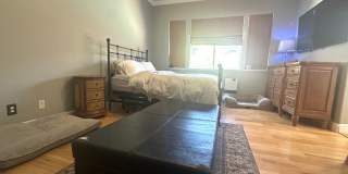 Gorgeous single story with Pool! Gallery 18
