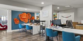 Fusion Orlando Gallery 29