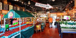 1877 TOUCAN WAY Gallery 41