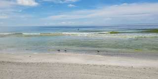 SEASONAL SHORT-TERM 1-BED 1 BATH CONDO ON LONGBOAT KEY. BEACH ACCESS Gallery 40