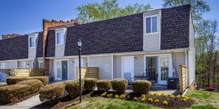 North Woods At The Four Seasons Gallery 5