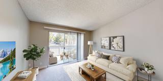 Southridge Gallery 6