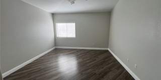 10552 Pine Pointe Avenue Gallery 16