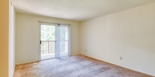 The Everett Gallery 24