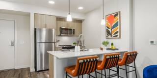 Ellis at Bel-Red Gallery 11