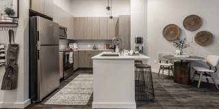 Arsenal 201 Gallery 3