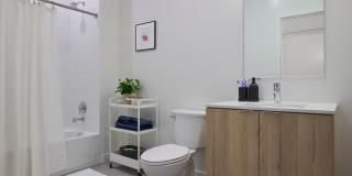 The Astrid Gallery 37