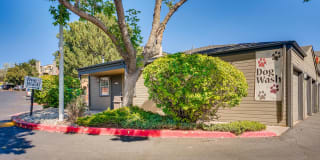 Loretto Heights Gallery 39