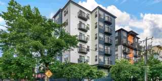 Terrace View Gallery 1