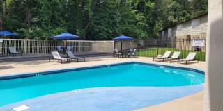 Pines of Lanier Gallery 1