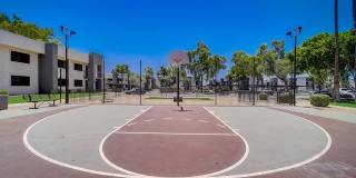 Rise at Estrella Park Gallery 47