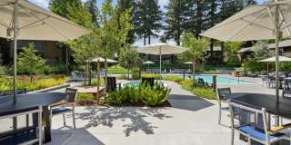 Old Orchard Apartments Gallery 18