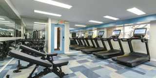 Radnor Crossing Gallery 15