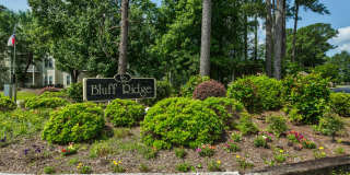 Bluff Ridge Gallery 29