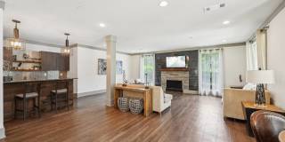 Wesley St. James at Sandy Springs Gallery 41