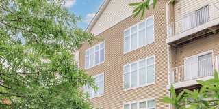 C Street Flats Gallery 4