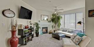 The Hawthorne Gallery 2