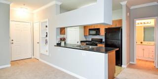 13504 DERRY GLEN Court Gallery 6