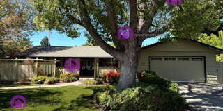 823 Wiget Lane Gallery 1