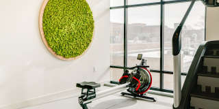 Nolan Mains Gallery 74