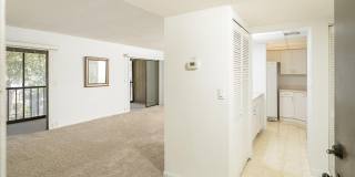 22 Veronese Ct Gallery 8