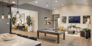 Prose Horizon Village Gallery 17